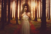 白狐之夢，神秘與幻想的交織，白狐之夢，神秘與幻想的交織