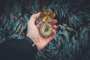 黃金之夢，探索夢境中的無盡財(cái)富，黃金之夢，探索夢境中的無盡財(cái)富之旅
