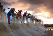 種地免費游戲，開啟你的農(nóng)業(yè)夢想之旅，種地大富翁，啟動你的農(nóng)田冒險之旅，免費享受農(nóng)業(yè)的樂趣