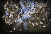 周公解夢之夢到刮大風(fēng)，周公解夢，夢到刮大風(fēng)的含義