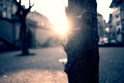 夢(mèng)中的破碎之光——燈泡碎了的寓意與解讀，夢(mèng)中的破碎之光，燈泡碎了的深層寓意與解讀