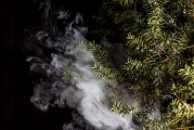 蒸汽朋克風(fēng)格的植物大戰(zhàn)僵尸，植物刺客，一款無需付費的游戲，蒸汽朋克植物戰(zhàn)爭僵尸，免費游戲帶你體驗?zāi)┤丈? title=