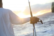 夢游深海，與巨魚共舞，夢游深海，共舞巨魚之旅