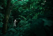 夢境中的動物世界，一場奇幻的夢境之旅