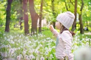 夢(mèng)境中的鴨子之旅，夢(mèng)境中的鴨子奇幻之旅