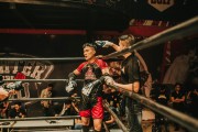 格斗游戲的狂熱與挑戰(zhàn)——探尋免費(fèi)版的力量，探索付費(fèi)格斗游戲，免費(fèi)版本的力量