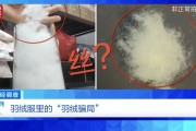“羽絨騙局”曝光：兒童羽絨服也造假，檢測報告成本一兩元錢