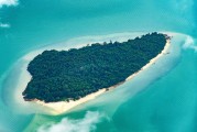 夢(mèng)到抓魚(yú)的奇幻之旅，夢(mèng)中之魚(yú)，奇幻的抓魚(yú)之旅