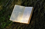 夢到書，一場心靈與知識的奇妙旅程，夢中的書，心靈與知識的奇妙旅程