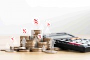 如何通過分析數(shù)據(jù)評估基金的風險？
