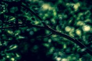 夢中的啟示，夢到什么會(huì)懷孕？，夢中的啟示，解析夢中預(yù)示懷孕的象征意義