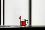 夢(mèng)中的禿頂之謎，探索內(nèi)心深處的自我啟示，夢(mèng)中的禿頂之謎，內(nèi)心深處的自我啟示探索