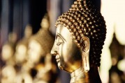 自由冷鋒游戲的神秘面紗——探秘其背后的游戲內(nèi)涵與魅力，自由冷鋒，揭示隱藏在游戲背后的深度內(nèi)涵與魅力