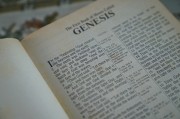 輕松入門，教你如何在論壇注冊賬號，論壇新手指南，輕松注冊賬號全攻略