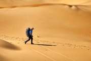 夢中的書香之旅，夢中的書香之旅，探索知識的奇幻之旅