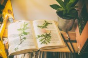 免費(fèi)游戲的春天，11個(gè)值得推薦的游戲，最新11款免費(fèi)游戲推薦，春天來(lái)臨的免費(fèi)游戲狂歡盛宴