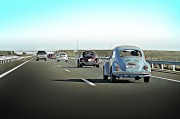 賽車之夢(mèng)，速度與激情的交織，賽車之夢(mèng)，速度與激情的交織