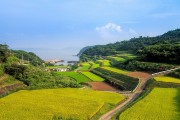 湘西網(wǎng)站流量，助力鄉(xiāng)村振興的數(shù)字引擎
