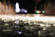 夢中的污濁之水，心靈的反思與啟示