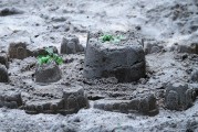 夢中的雷擊，心靈的覺醒之旅，夢中的雷擊，心靈的覺醒之旅