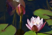 夢(mèng)中與前任的對(duì)話，回憶的漣漪