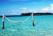 夢(mèng)中的大魚之旅，夢(mèng)中的大魚之旅