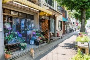 夢中的樓房，一場心靈的探索之旅，夢中的樓房，心靈探索之旅的啟程