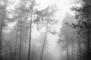 煙囪之夢，探索夢境中的神秘符號，煙囪之夢，探索神秘符號的夢境之旅