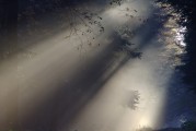 夢(mèng)中情愫，解析夢(mèng)中有人喜歡自己的心理奧秘，解析夢(mèng)中有人喜歡自己的心理奧秘，夢(mèng)中情愫的探索