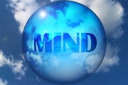 上海網(wǎng)站優(yōu)化服務費用解析，價格因素與性價比考量