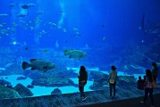 日照市是中國山東省的一個海濱城市，擁有豐富的旅游資源和文化底蘊。隨著互聯(lián)網(wǎng)技術(shù)的發(fā)展，日照的旅游業(yè)也在不斷壯大。日照網(wǎng)站優(yōu)化的重要性不言而喻。，日照，中國山東省海濱城市的旅游資源與文化魅力