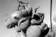 夢(mèng)中的矛盾與現(xiàn)實(shí)，解讀夢(mèng)到打母親的深層含義，解讀夢(mèng)到打母親的深層含義，夢(mèng)中的矛盾與現(xiàn)實(shí)