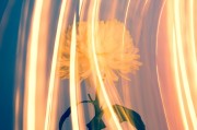 CCG（Collective Content Game），一個讓玩家盡情探索的免費游戲世界，自由探索，無拘無束！體驗CCG的魅力，免費游戲世界之旅