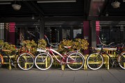 "車(chē)庫(kù)禁停新能源車(chē)"？廣東省博物館回應(yīng)