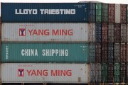 同港注冊全攻略，輕松開啟您的跨境電商之旅，一網(wǎng)打盡，同港注冊全解析，助力跨境電商無憂啟航