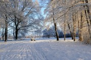 冰雪奇緣游戲——讓你置身于一個全新的冰雪世界！，冰雪奇緣冒險，沉浸式游戲體驗帶你穿越奇妙冰雪世界