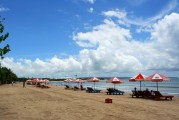 夢(mèng)中的游泳之旅，夢(mèng)中的游泳之旅之旅的奇幻之旅