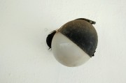 夢(mèng)境中的蛆——探索內(nèi)心深處的象征意義，夢(mèng)境中的蛆，探索內(nèi)心深處的象征意義