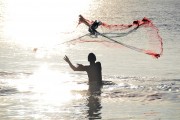 夢(mèng)到魚(yú)，探尋其深層含義，夢(mèng)到魚(yú)，探尋其深層心理含義