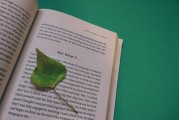 湖南校園注冊攻略，輕松開啟你的大學(xué)生活，湖南校園注冊全攻略，輕松邁入大學(xué)生活新篇章