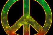 遭遇商標被注冊？教你三步走，維護你的合法權益！三招應對商標侵權，教你有效維護自身權益