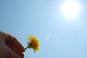 夢(mèng)中的朋友，大肚子的寓意，夢(mèng)中的朋友與大肚子的寓意
