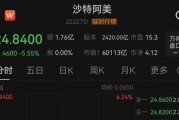 中東股市大跌，沙特阿美暴跌900億美元！