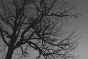 夢(mèng)中的驚悚之影——夢(mèng)到別人殺人的心理解析，夢(mèng)中的心理解析，殺人夢(mèng)境的驚悚與解讀