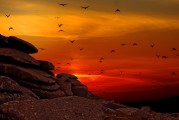 夢(mèng)中的航行之旅，夢(mèng)中的航行之旅，探索心靈深處的旅程