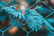 國外網(wǎng)站如何利用谷歌SEO進(jìn)行有效推廣，谷歌SEO攻略，國外網(wǎng)站高效推廣秘籍，谷歌SEO攻略，國外網(wǎng)站高效國際推廣秘籍