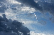 夢(mèng)到大鳥(niǎo)的寓意與解讀，夢(mèng)到大鳥(niǎo)的寓意與象征解讀
