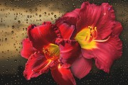 妃容天下游戲全線上免費！你還在等什么？這款以歷史背景和精美畫面為題材的手機游戲，即將在全線上全面開啟。，妃容天下手游預約開啟