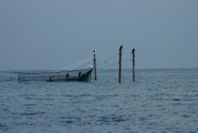 夢中的魚影，一次自我探索的殺魚夢，夢中之魚影，一次自我探索的殺魚夢境