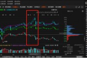 祥源文旅非經(jīng)營性資金占用雖已歸還，但仍被出具警示函！